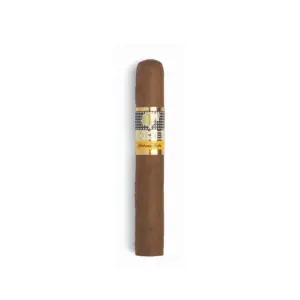 Cohiba Siglo I Cigar - Single