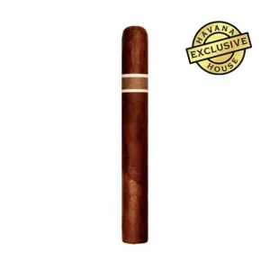 RoMa Craft Aquitaine Anthropology Cigar - Single