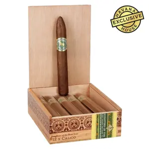 Casdagli Daughters of the Wind Calico Cigar - Box of 12