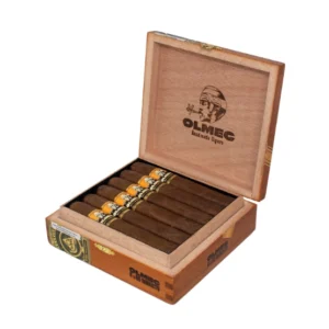 Foundation Olmec Claro Robusto Cigar - Box of 12