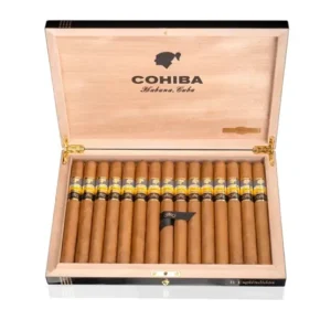 Cohiba Esplendidos Gran Reserva Cosecha 2017 - Box of 15