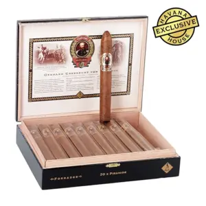 Casdagli Brothers of the Sabre Forrader Piramide Cigar - Box of 20