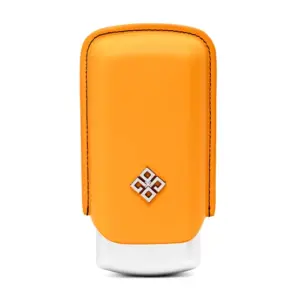 Alestimo Cigar Case for 2 Cigars - Orange and Silver
